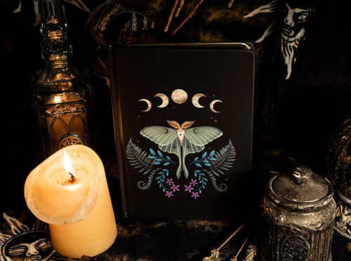 La Boîte <em>Divination</em> - Image 4