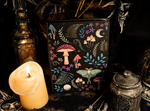 La Boîte <em>Divination</em> - Image 5